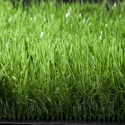 单丝草|人造草坪